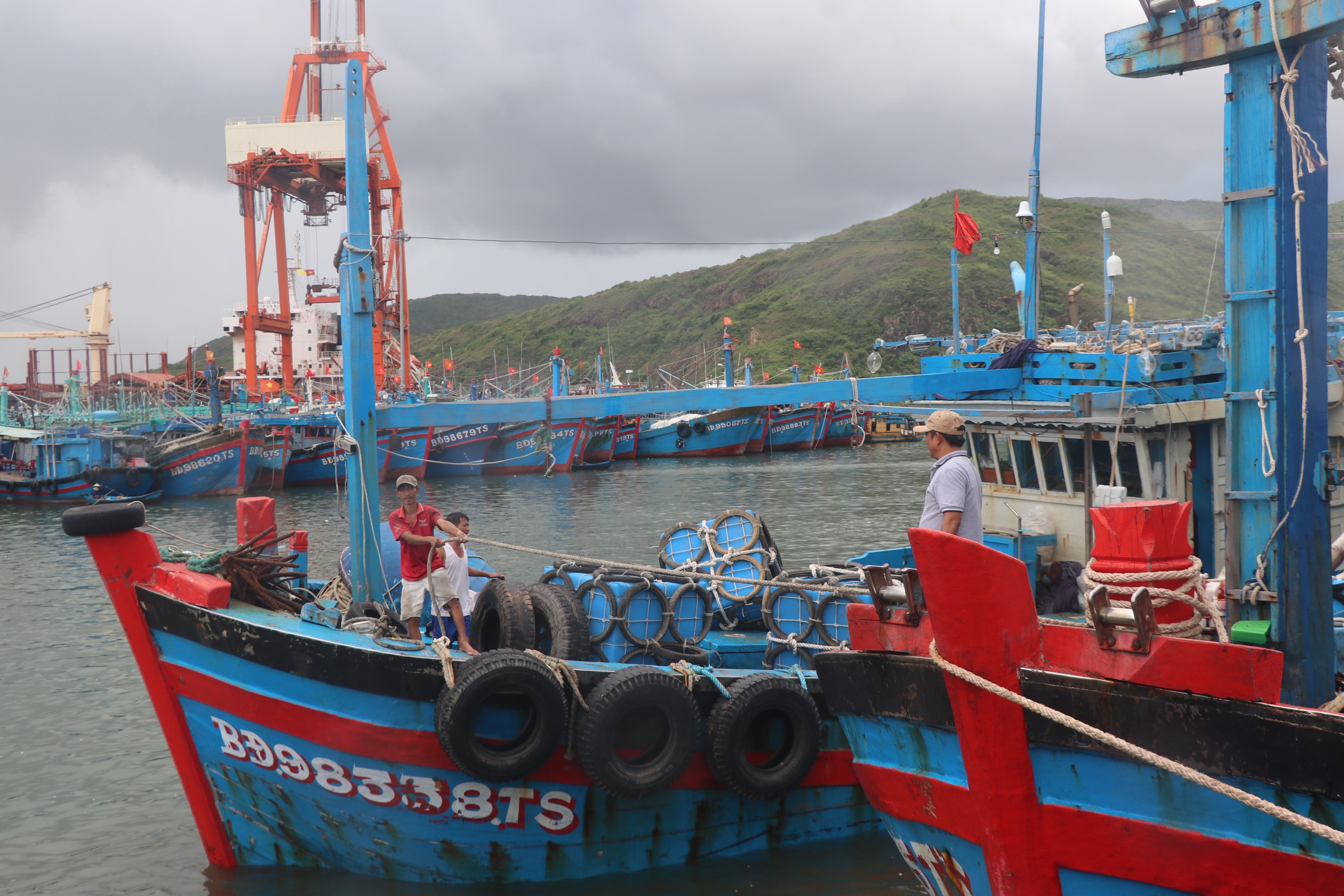 Gia Lai: Hai tàu cá gặp nạn trên biển, một tàu mất liên lạc- Ảnh 1.
