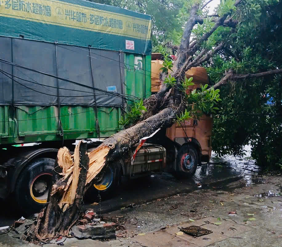 Hà Nội chủ động khắc phục hậu quả mưa bão- Ảnh 5. Hà Nội chủ động khắc phục hậu quả mưa bão- Ảnh 5.