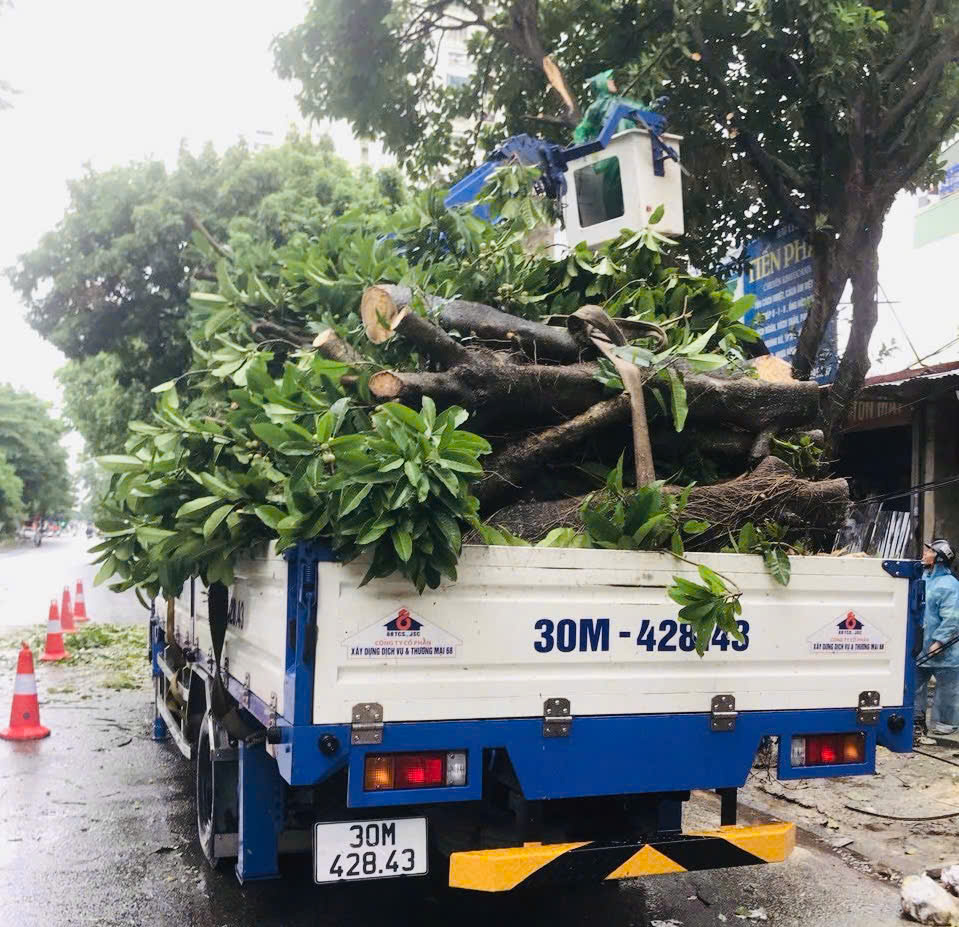 Hà Nội chủ động khắc phục hậu quả mưa bão- Ảnh 7. Hà Nội chủ động khắc phục hậu quả mưa bão- Ảnh 7.