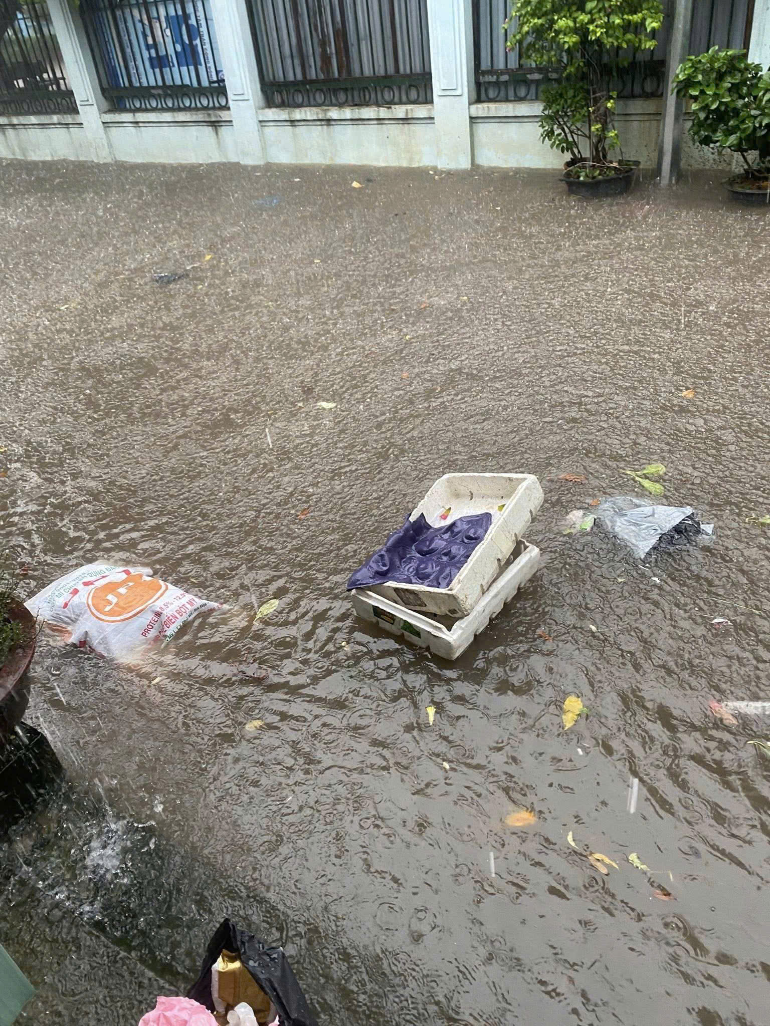 Hà Nội chủ động khắc phục hậu quả mưa bão- Ảnh 10. Hà Nội chủ động khắc phục hậu quả mưa bão- Ảnh 10.