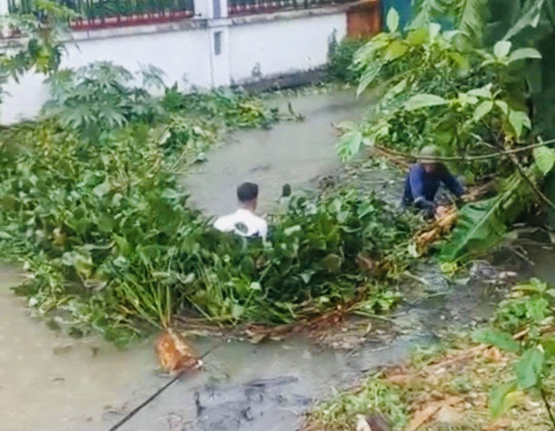 Các xã vùng ven Hà Nội căng mình ứng phó hậu quả mưa bão- Ảnh 15.