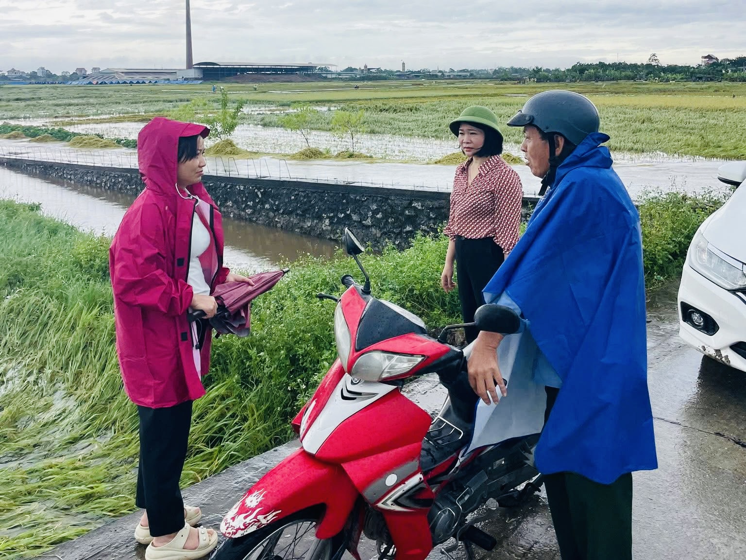 Các xã vùng ven Hà Nội căng mình ứng phó hậu quả mưa bão- Ảnh 19.
