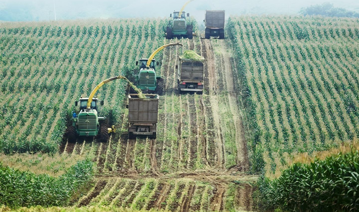 Những cỗ &ldquo;si&ecirc;u m&aacute;y&rdquo; tr&ecirc;n c&aacute;nh đồng nguy&ecirc;n liệu 8.100ha của TH true MILK- Ảnh 6.