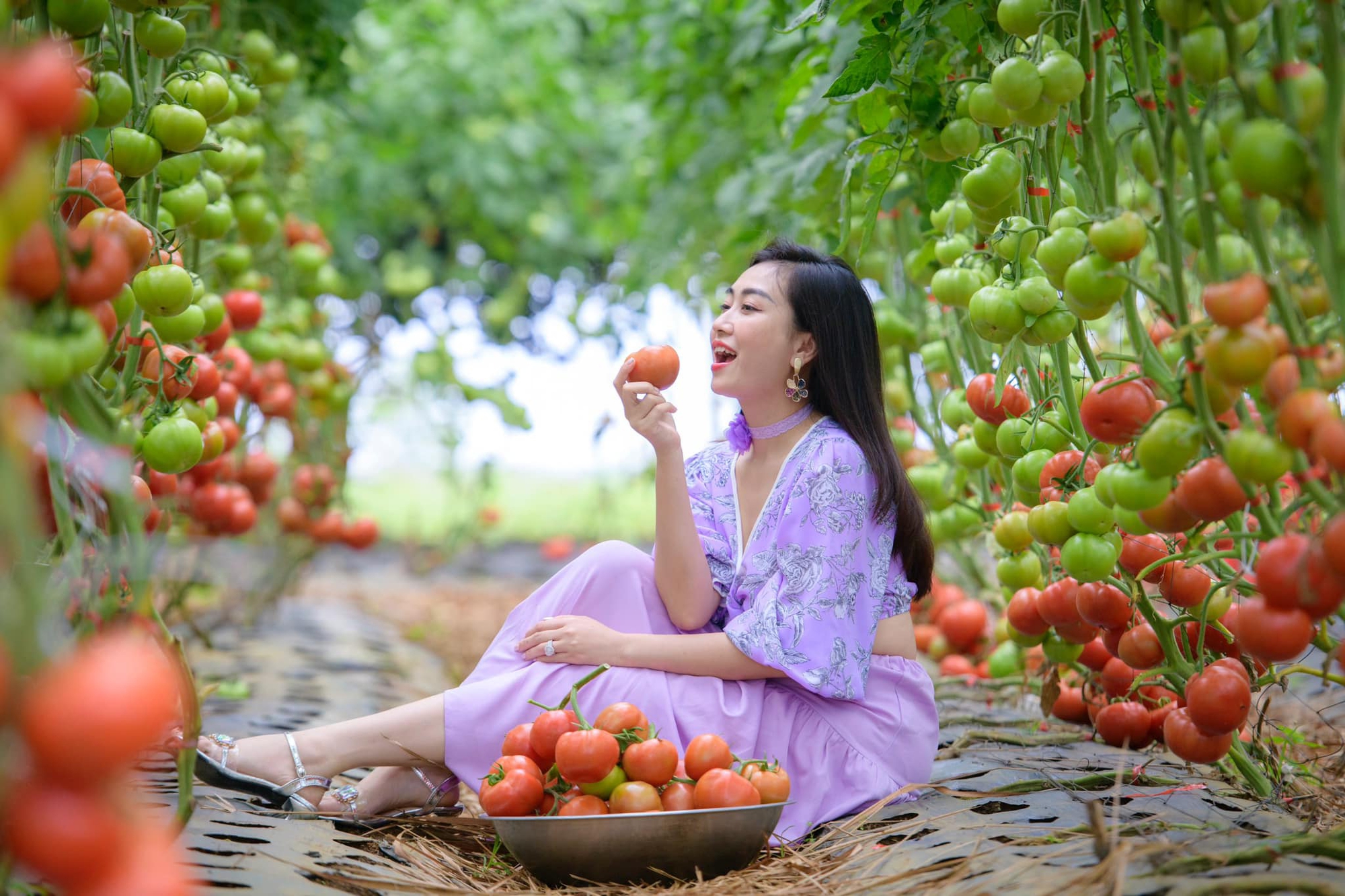 Mô hình trang trại kết hợp du lịch trong phát triển nông thôn mới tại Măng Đen- Ảnh 3. Mô hình trang trại kết hợp du lịch trong phát triển nông thôn mới tại Măng Đen- Ảnh 3.