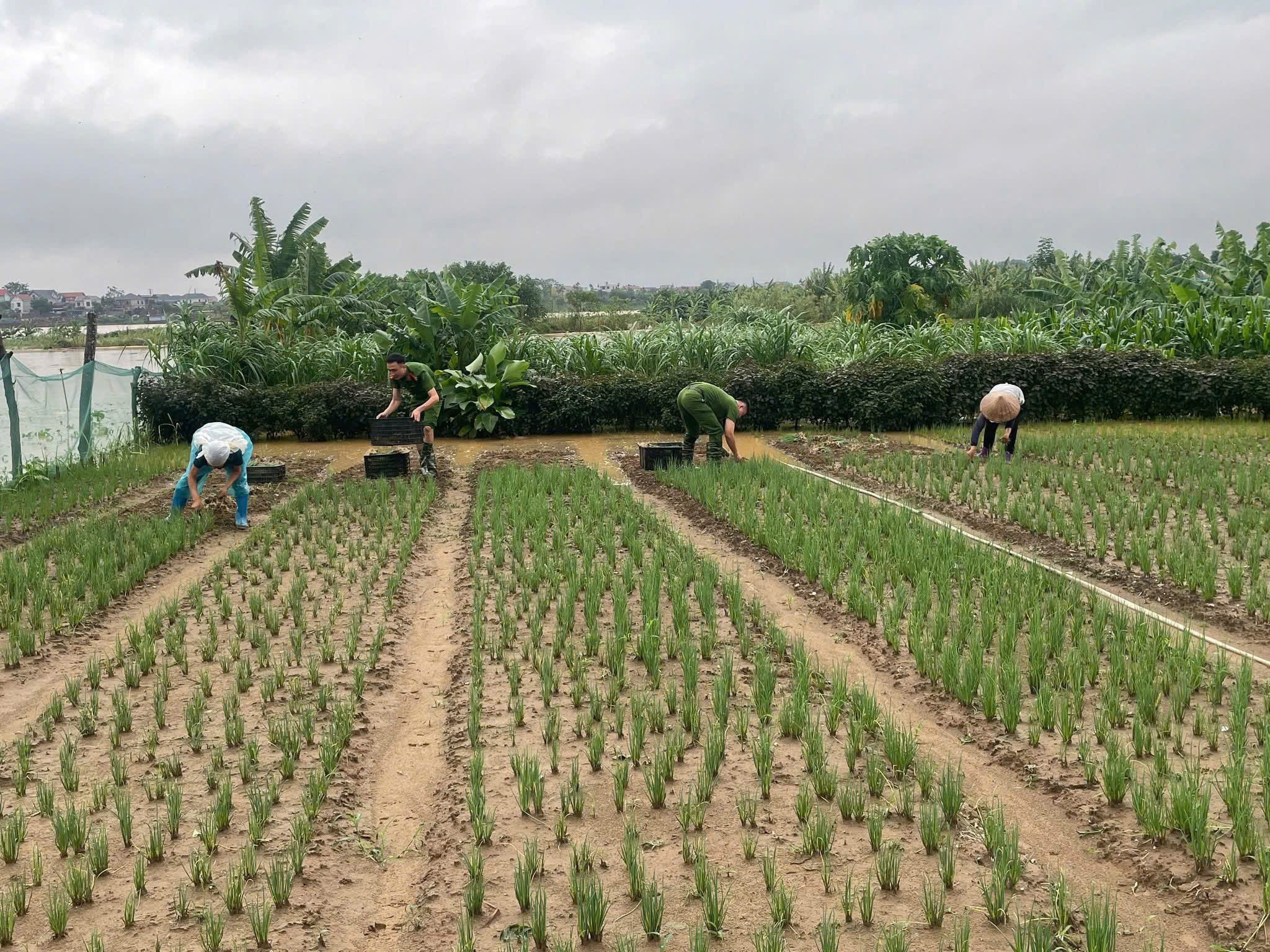 Công an Hà Nội lội nước hỗ trợ người dân trong mưa lũ- Ảnh 13.