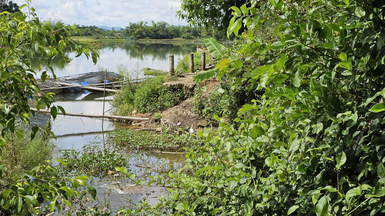 Huế: Bờ sông Bồ sạt lở ăn sâu vào tuyến đường bê tông, người dân thấp thỏm lo sợ- Ảnh 8. Huế: Bờ sông Bồ sạt lở ăn sâu vào tuyến đường bê tông, người dân thấp thỏm lo sợ- Ảnh 8.