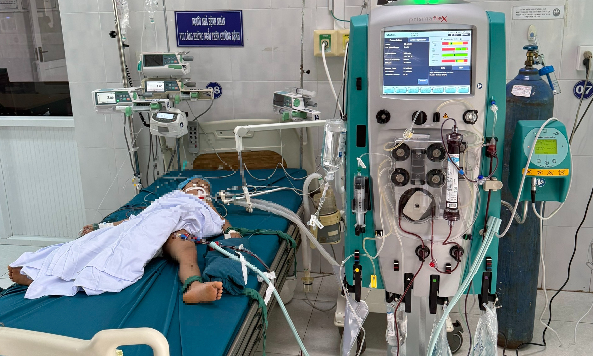 Gia Lai: Ba trẻ em bị ong vò vẽ tấn công, một em tử vong do sốc phản vệ- Ảnh 1. Gia Lai: Ba trẻ em bị ong vò vẽ tấn công, một em tử vong do sốc phản vệ- Ảnh 1.