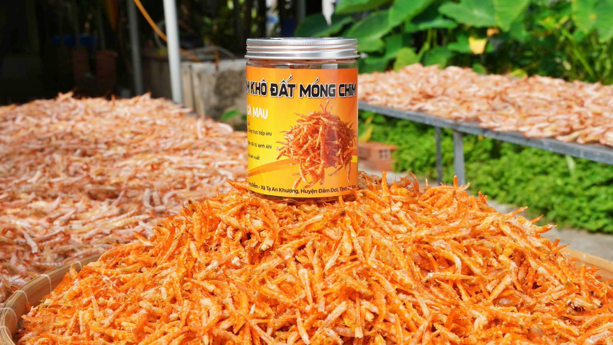 T&ocirc;m kh&ocirc; C&agrave; Mau tất bật v&agrave;o vụ Tết- Ảnh 7.