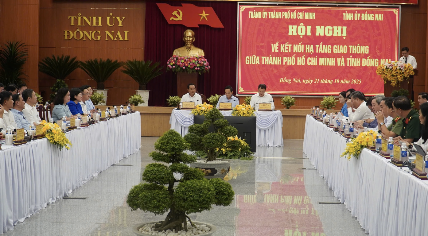 Sau 3 thập kỷ chờ đợi, cầu C&aacute;t L&aacute;i sắp được khởi c&ocirc;ng, kết nối Đồng Nai - TP.HCM- Ảnh 11.