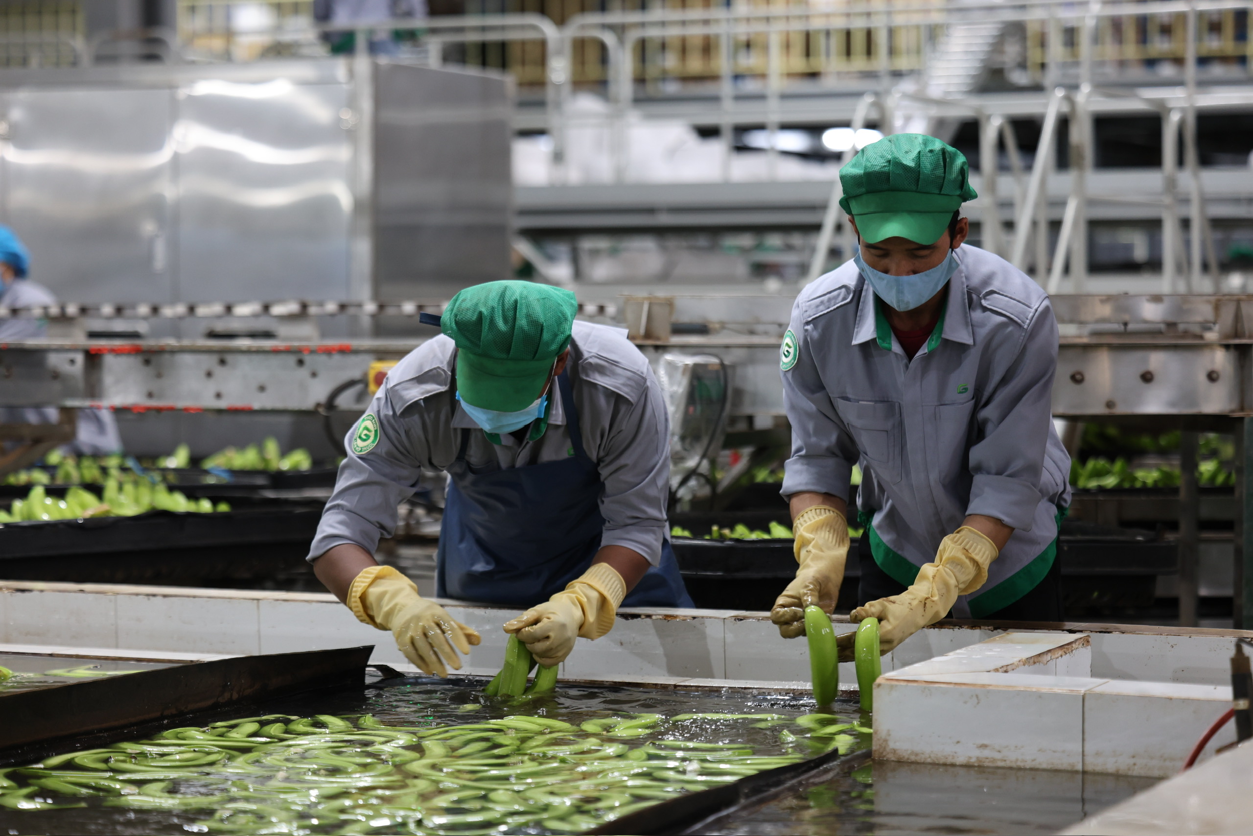 Khi nh&agrave; sản xuất &ocirc; t&ocirc; Thaco l&agrave;m n&ocirc;ng nghiệp- Ảnh 4.