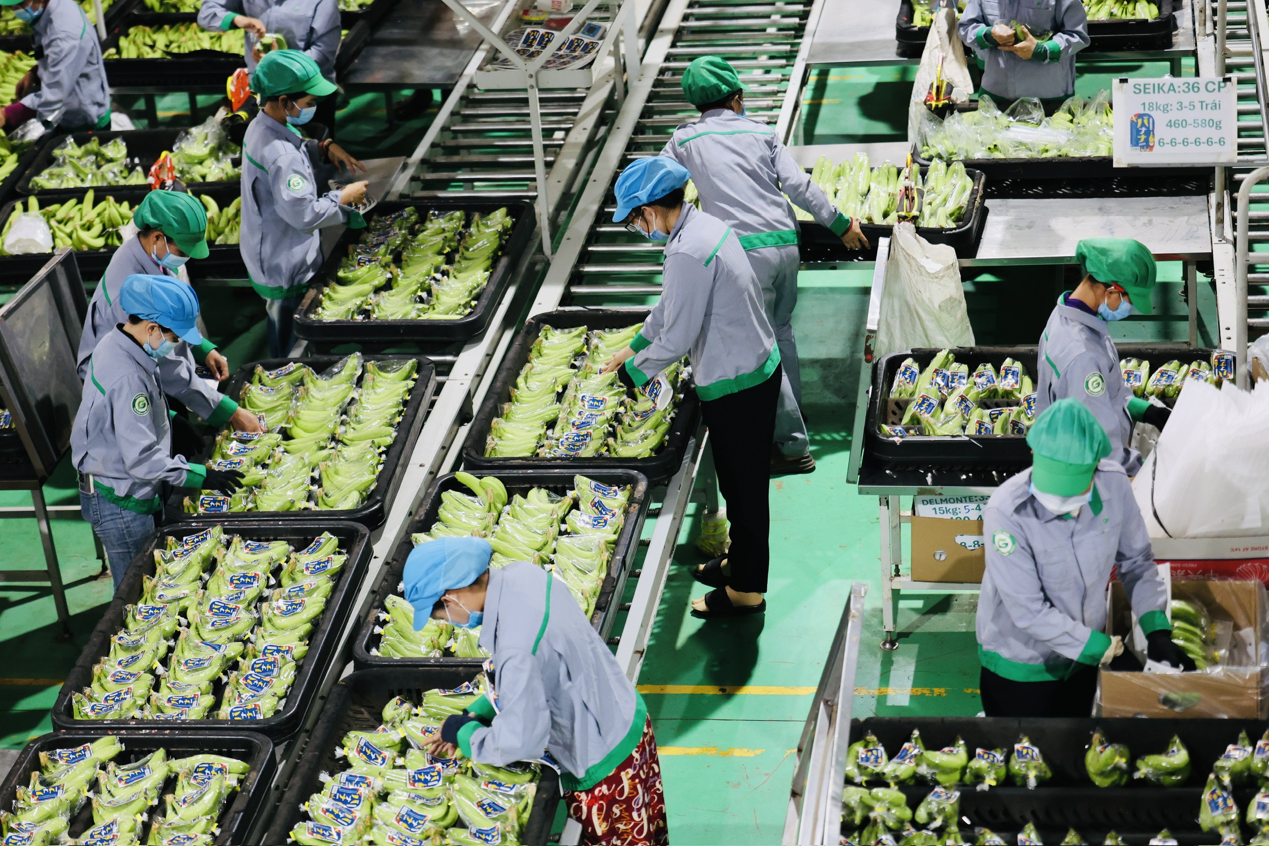 Khi nh&agrave; sản xuất &ocirc; t&ocirc; Thaco l&agrave;m n&ocirc;ng nghiệp- Ảnh 3.