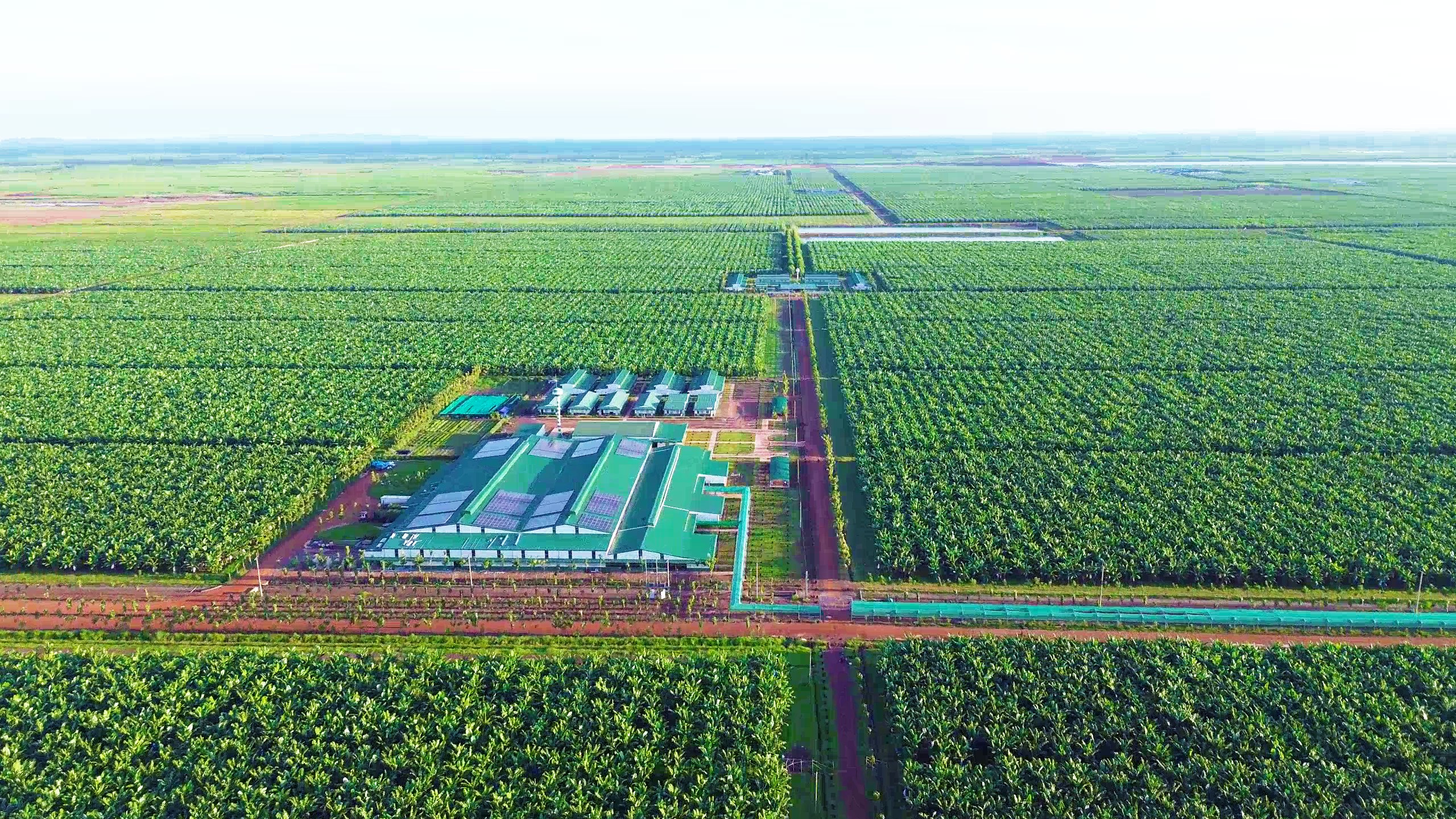 Khi nh&agrave; sản xuất &ocirc; t&ocirc; Thaco l&agrave;m n&ocirc;ng nghiệp- Ảnh 2.