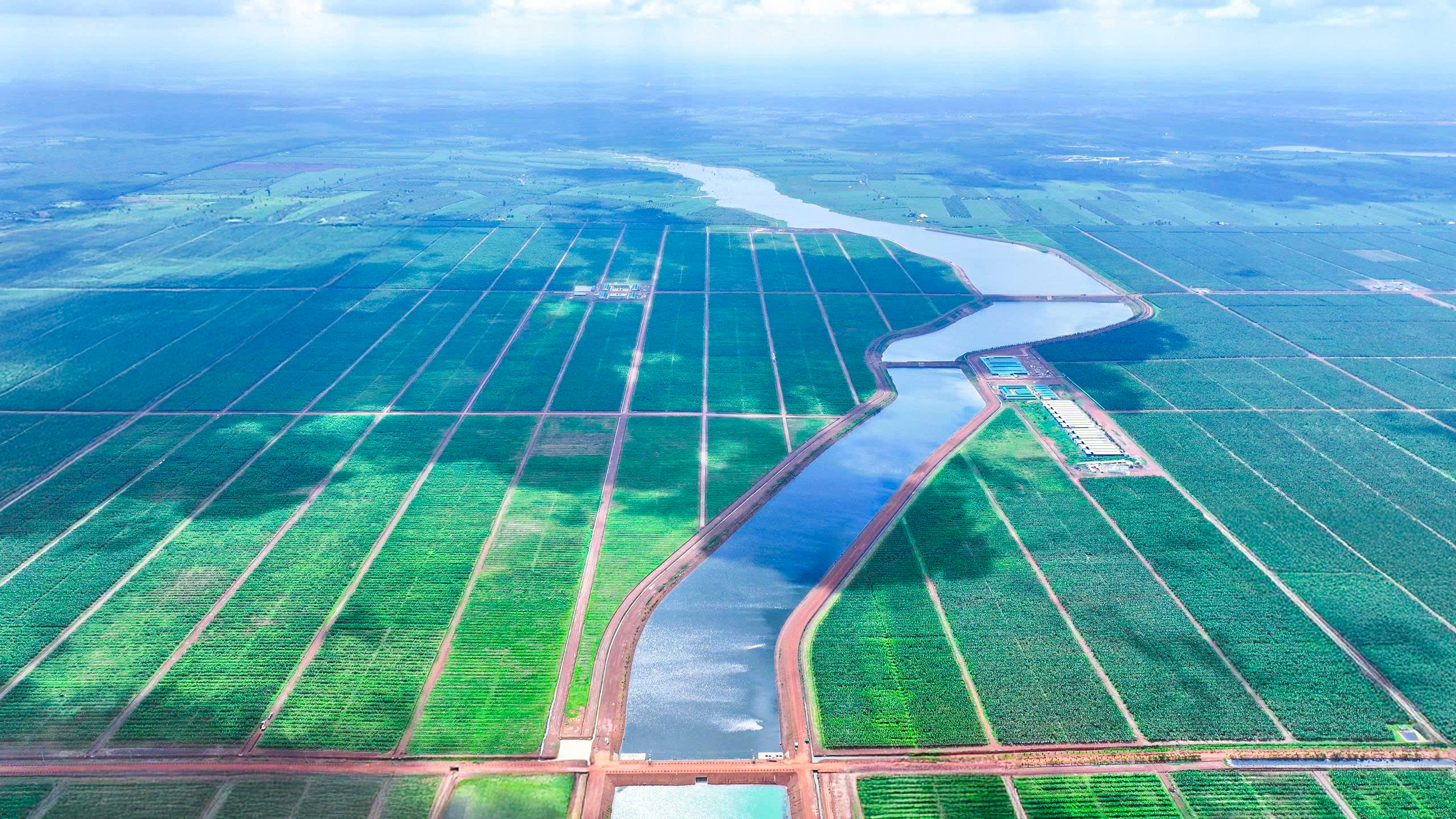 Khi nh&agrave; sản xuất &ocirc; t&ocirc; Thaco l&agrave;m n&ocirc;ng nghiệp- Ảnh 1.