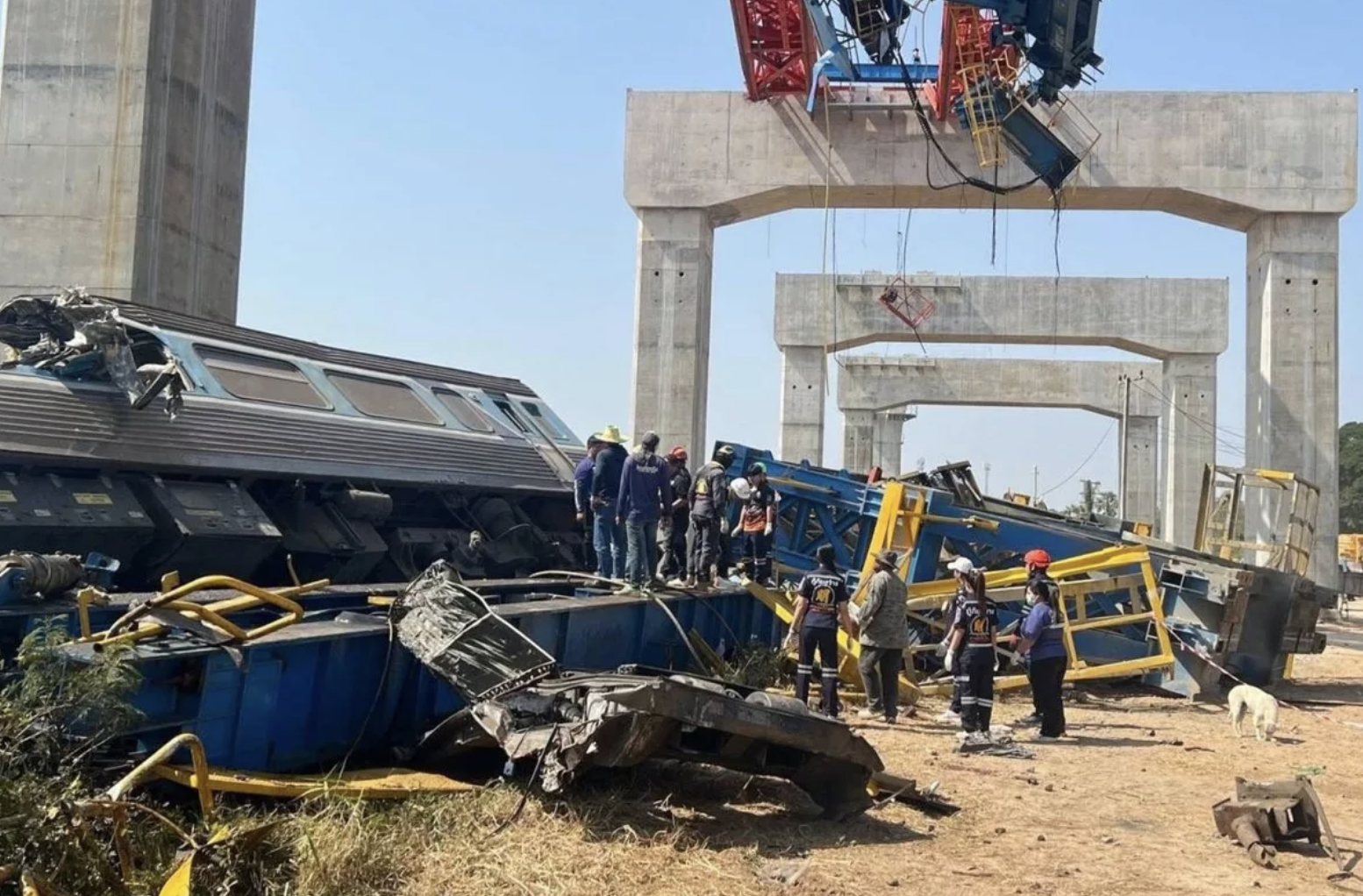 Vụ cần cẩu sập, rơi xuống t&agrave;u tại Th&aacute;i Lan: Triệu tập đại diện nh&agrave; thầu- Ảnh 1.