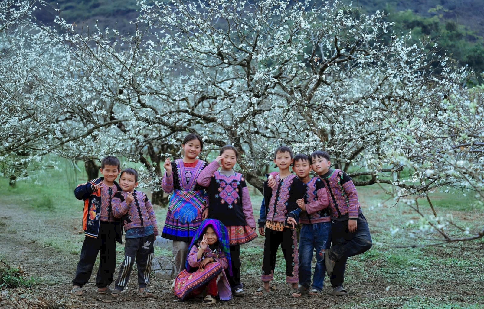 Lạc giữa &ldquo;miền cổ t&iacute;ch&rdquo; hoa mận Mộc Ch&acirc;u- Ảnh 1.