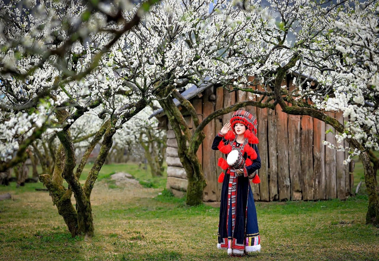 Lạc giữa &ldquo;miền cổ t&iacute;ch&rdquo; hoa mận Mộc Ch&acirc;u- Ảnh 7.