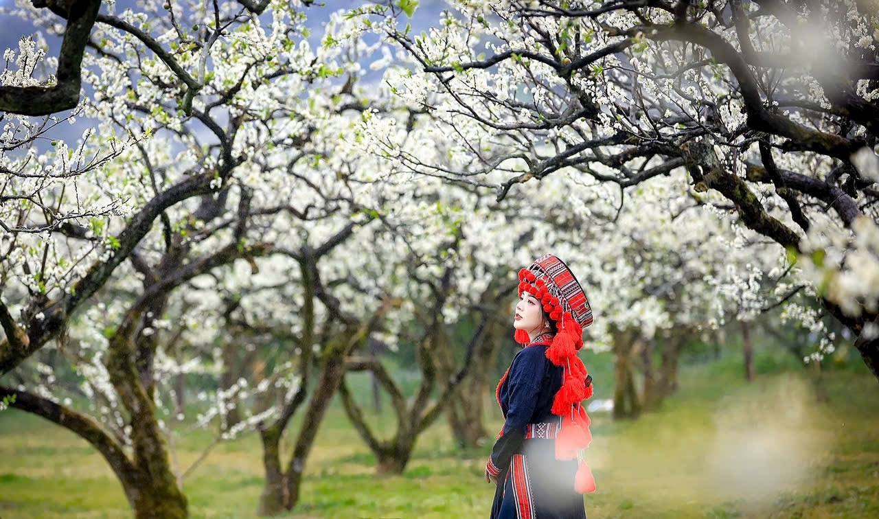 Lạc giữa &ldquo;miền cổ t&iacute;ch&rdquo; hoa mận Mộc Ch&acirc;u- Ảnh 8.