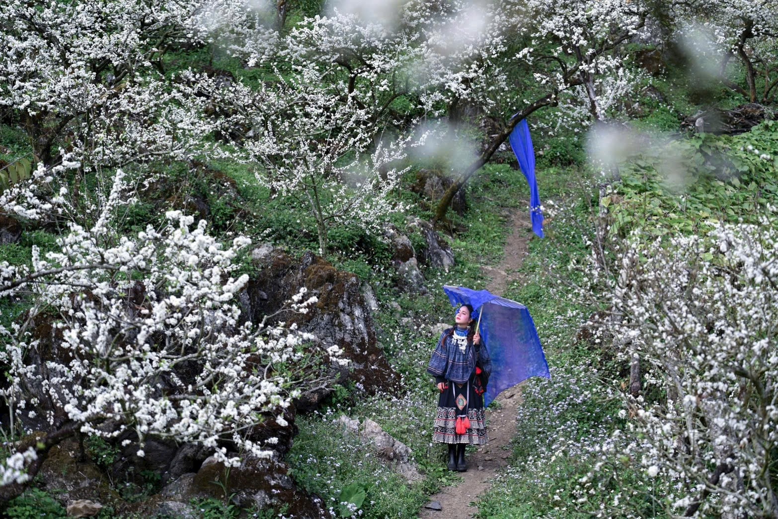 Lạc giữa &ldquo;miền cổ t&iacute;ch&rdquo; hoa mận Mộc Ch&acirc;u- Ảnh 10.