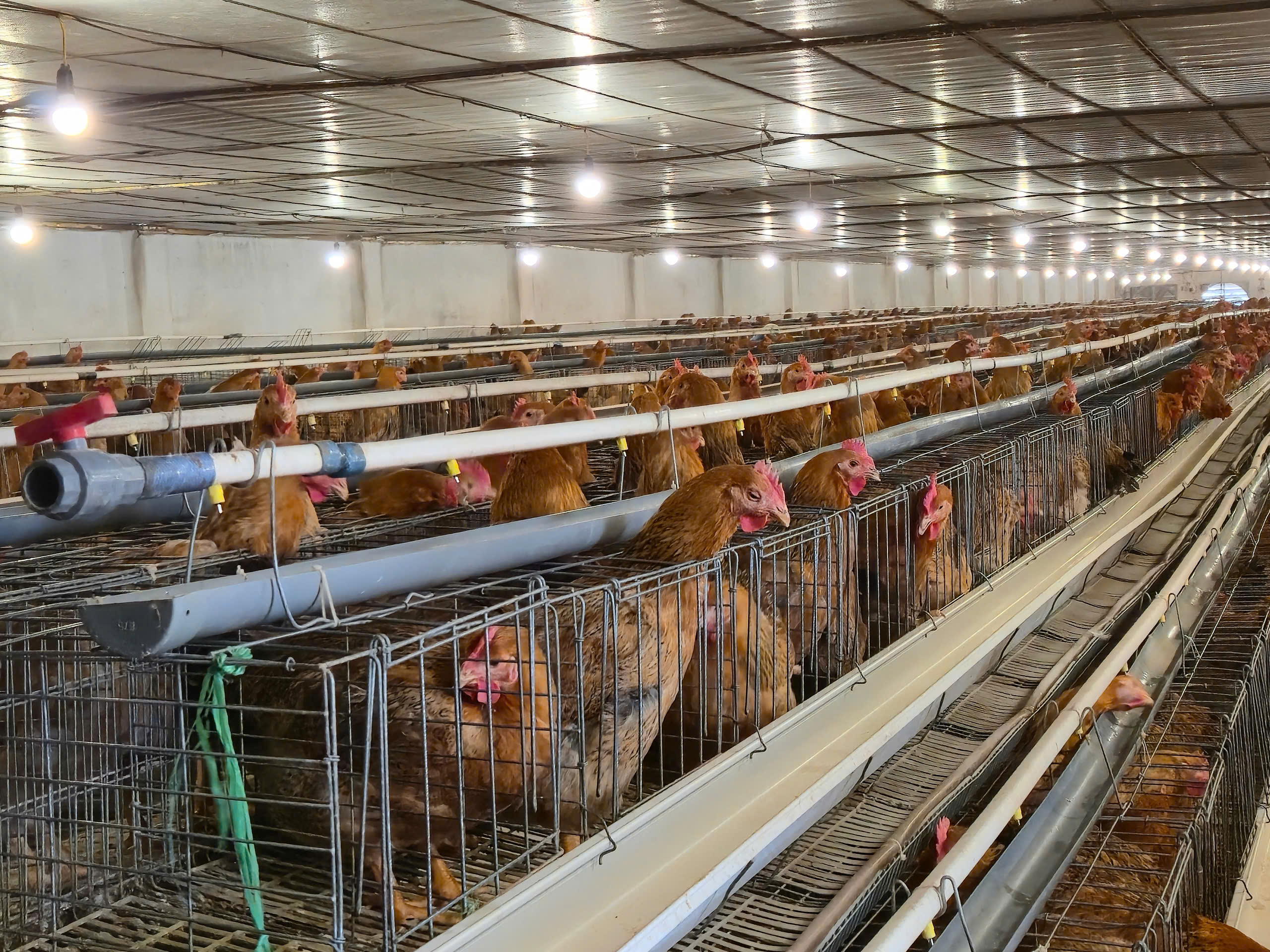 Đồng thuận từ cơ sở – đòn bẩy đẩy nhanh GPMB KCN Yên Bình 2- Ảnh 3.