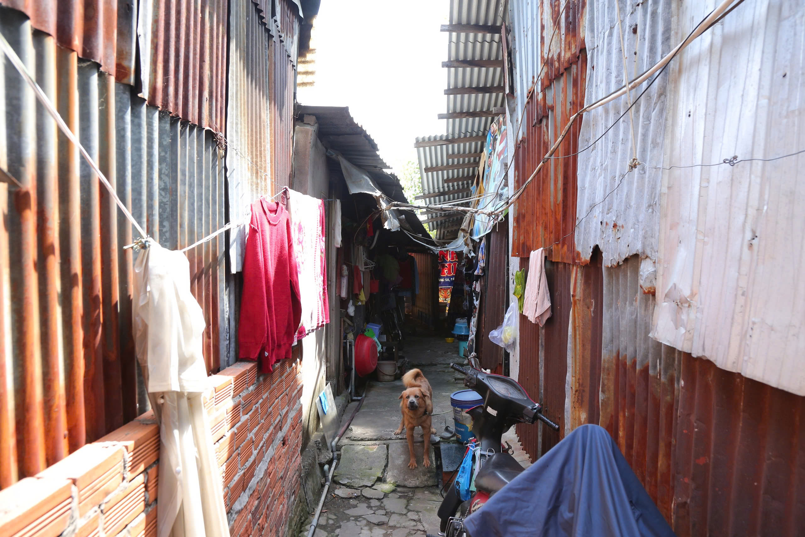 Dọn nhà đón cái Tết cuối cùng bên dòng rạch Xuyên Tâm ô nhiễm sắp được cải tạo- Ảnh 11.