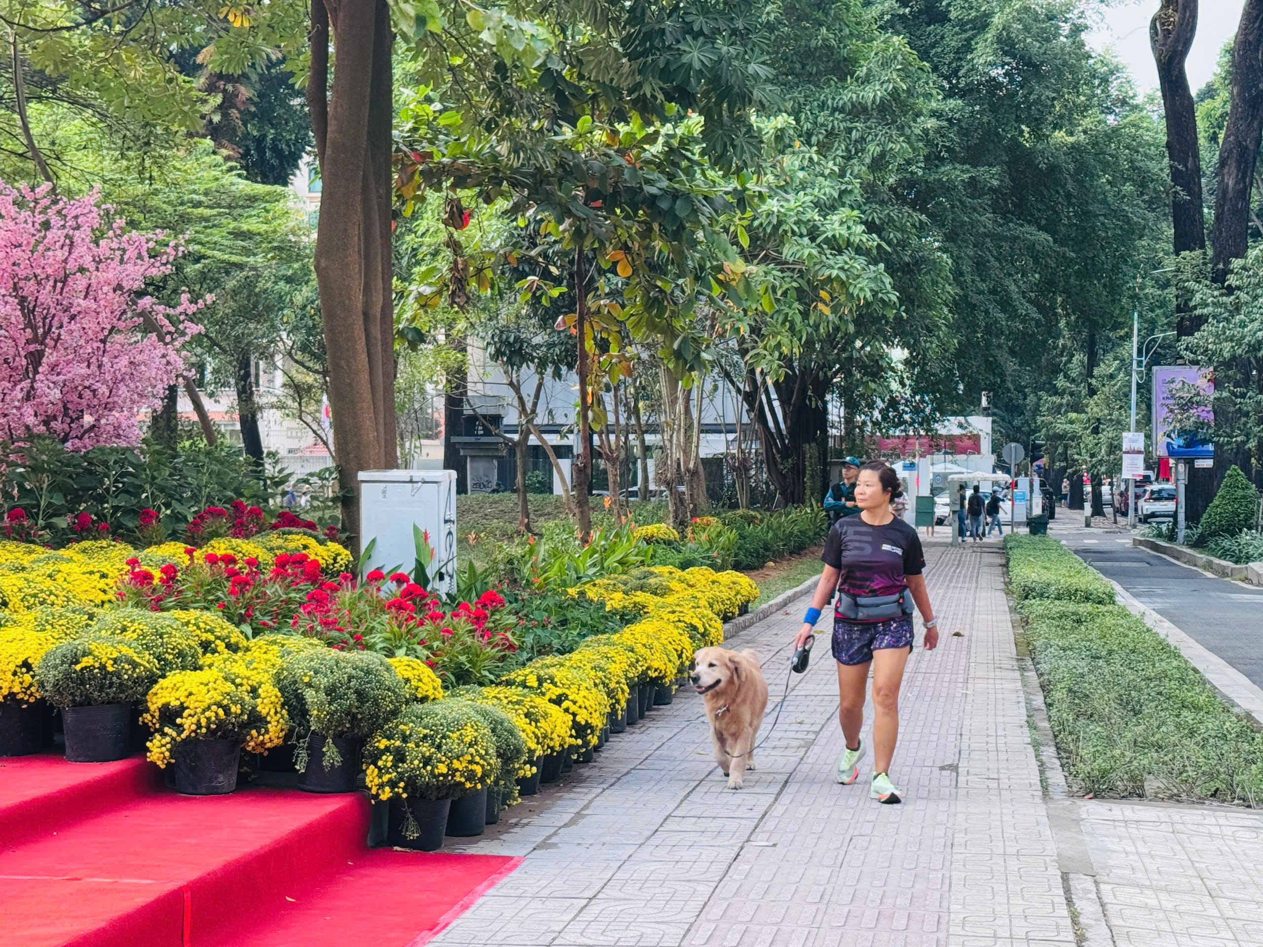 TP.HCM: “Đất vàng” Phan Đình Phùng hóa công viên xanh, phục vụ người dân trước Tết- Ảnh 13. TP.HCM: “Đất vàng” Phan Đình Phùng hóa công viên xanh, phục vụ người dân trước Tết- Ảnh 13.