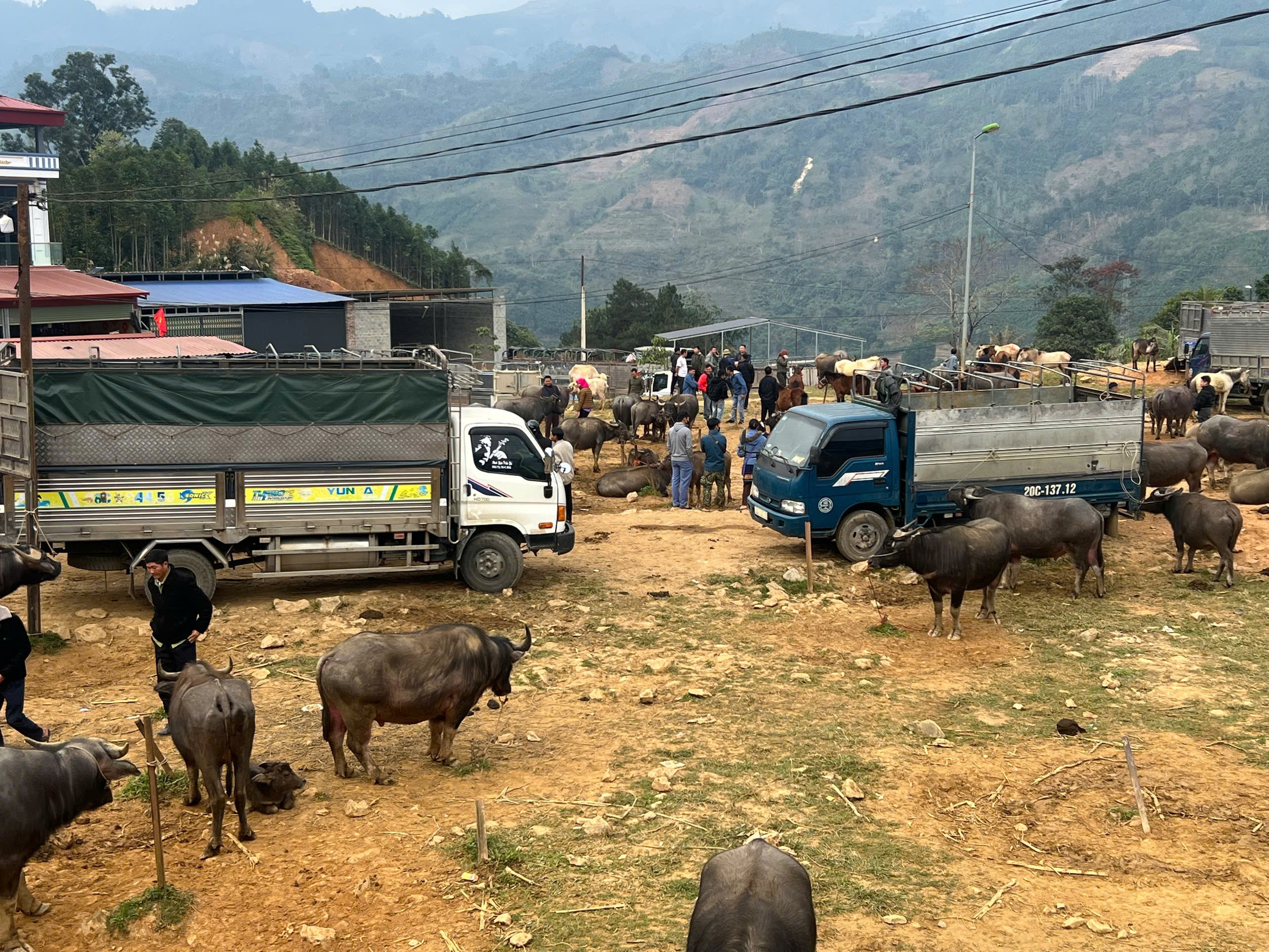 Nghe CSGT "bắn" tiếng Mông tuyên truyền an toàn giao thông giữa chợ phiên vùng cao- Ảnh 8. Nghe CSGT "bắn" tiếng Mông tuyên truyền an toàn giao thông giữa chợ phiên vùng cao- Ảnh 8.
