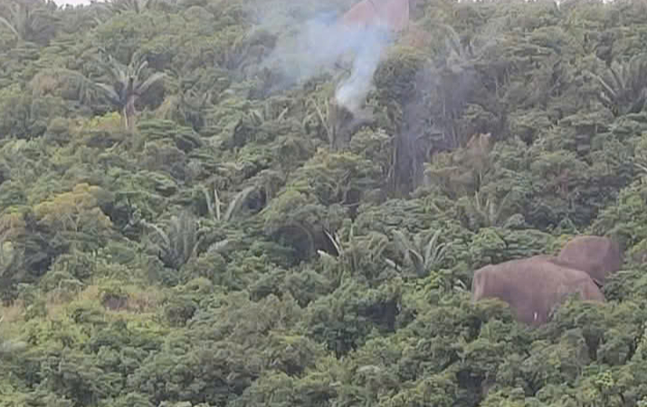 Bộ Quốc ph&ograve;ng th&ocirc;ng tin về sự cố m&aacute;y bay qu&acirc;n sự rơi tại Đắk Lắk- Ảnh 1.