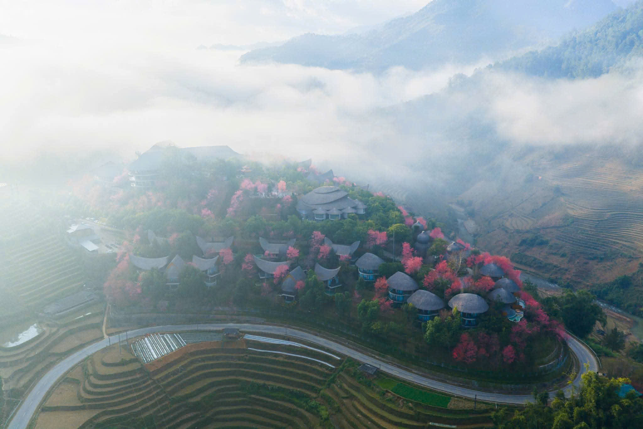 Du kh&aacute;ch đổ về M&ugrave; Cang Chải chi&ecirc;m ngưỡng hoa tớ d&agrave;y- Ảnh 8.