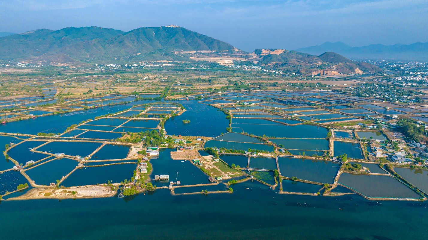 Hạ tầng giao thông Khánh Hòa cất cánh, dự án nào hưởng lợi?- Ảnh 3.