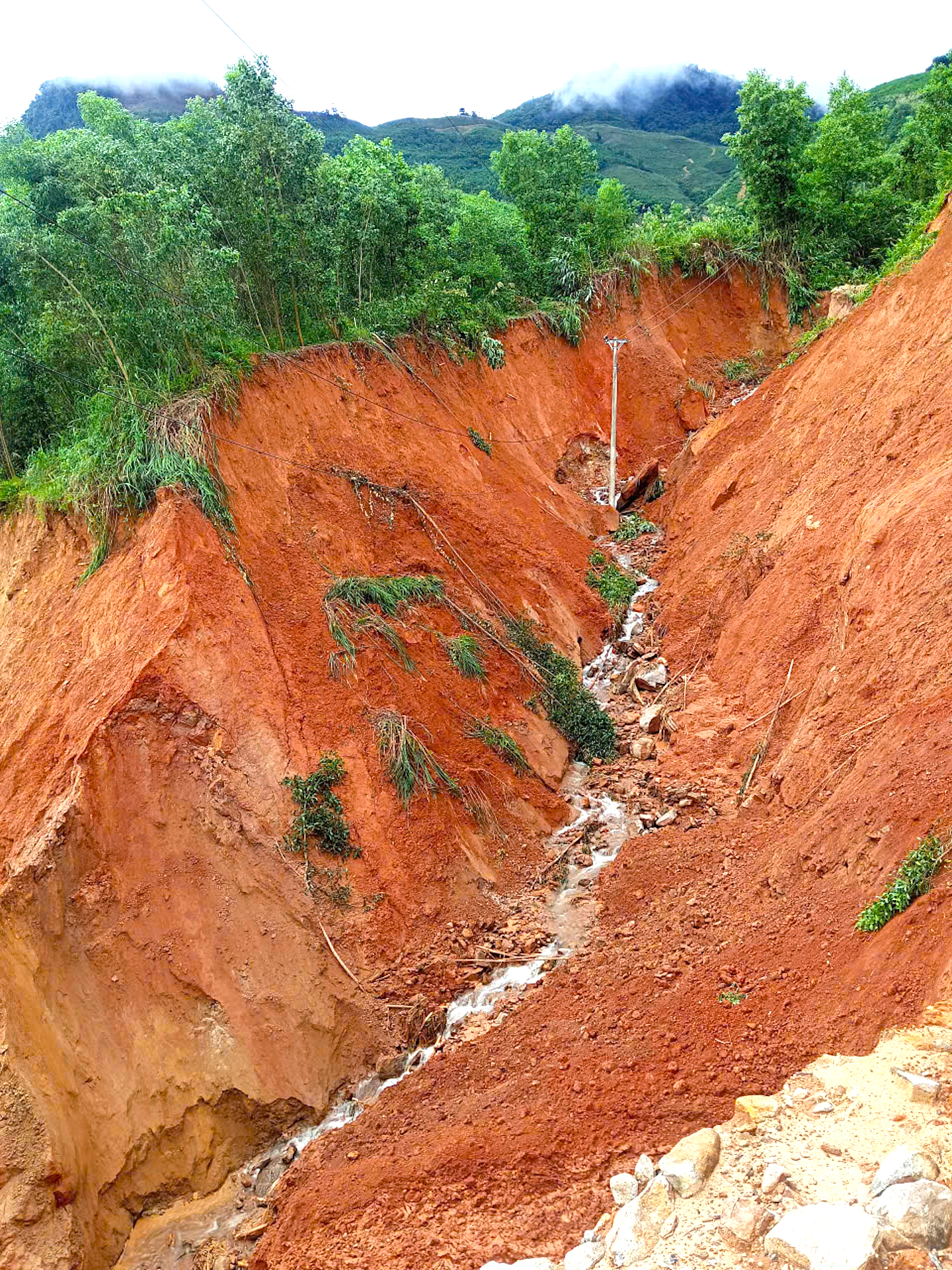 Quảng Ng&atilde;i chi hơn 300 tỷ đồng hỗ trợ d&acirc;n sinh, t&aacute;i thiết hạ tầng sau thi&ecirc;n tai- Ảnh 2.