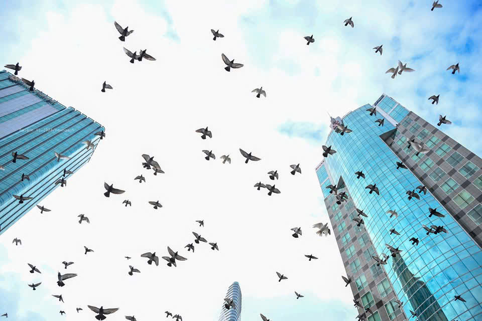 Khám phá view tỷ đô từ Sai Gon Marina IFC - Nơi tổ chức Diễn đàn Bất động sản năm 2026- Ảnh 7.