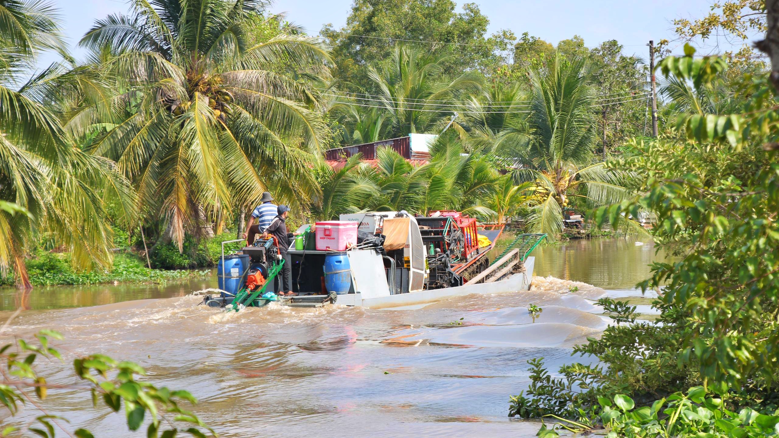 C&agrave; Mau: Giao th&ocirc;ng thuận lợi, n&ocirc;ng d&acirc;n thu hoạch l&uacute;a phấn khởi- Ảnh 4.