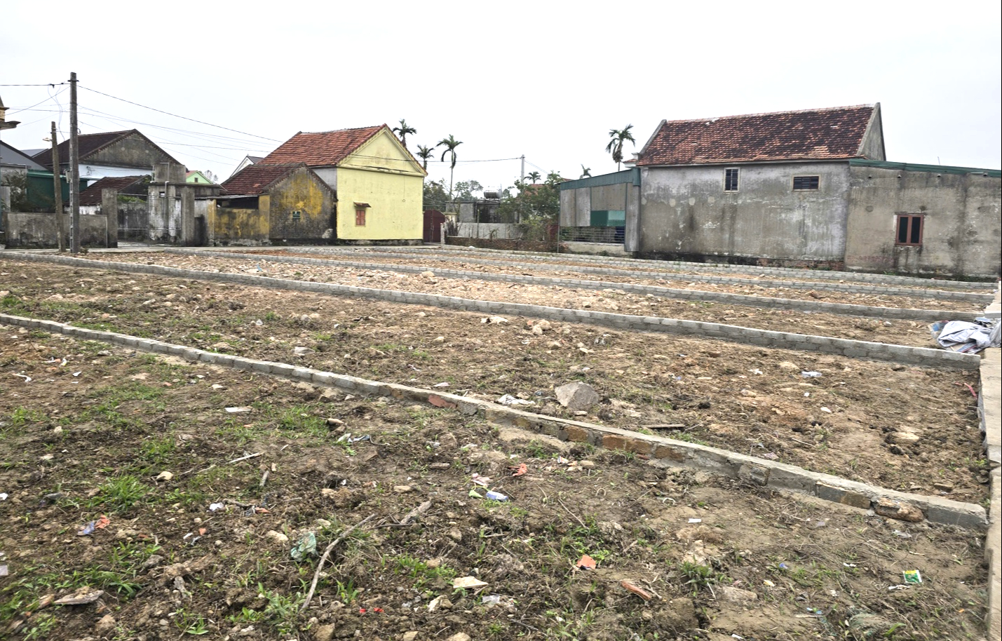 Hàng trăm người đổ xô về Nghệ An mua bán đất- Ảnh 3. Hàng trăm người đổ xô về Nghệ An mua bán đất- Ảnh 3.