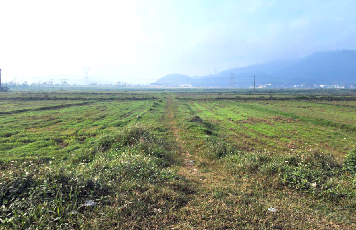 Hàng trăm người đổ xô về Nghệ An mua bán đất- Ảnh 4. Hàng trăm người đổ xô về Nghệ An mua bán đất- Ảnh 4.