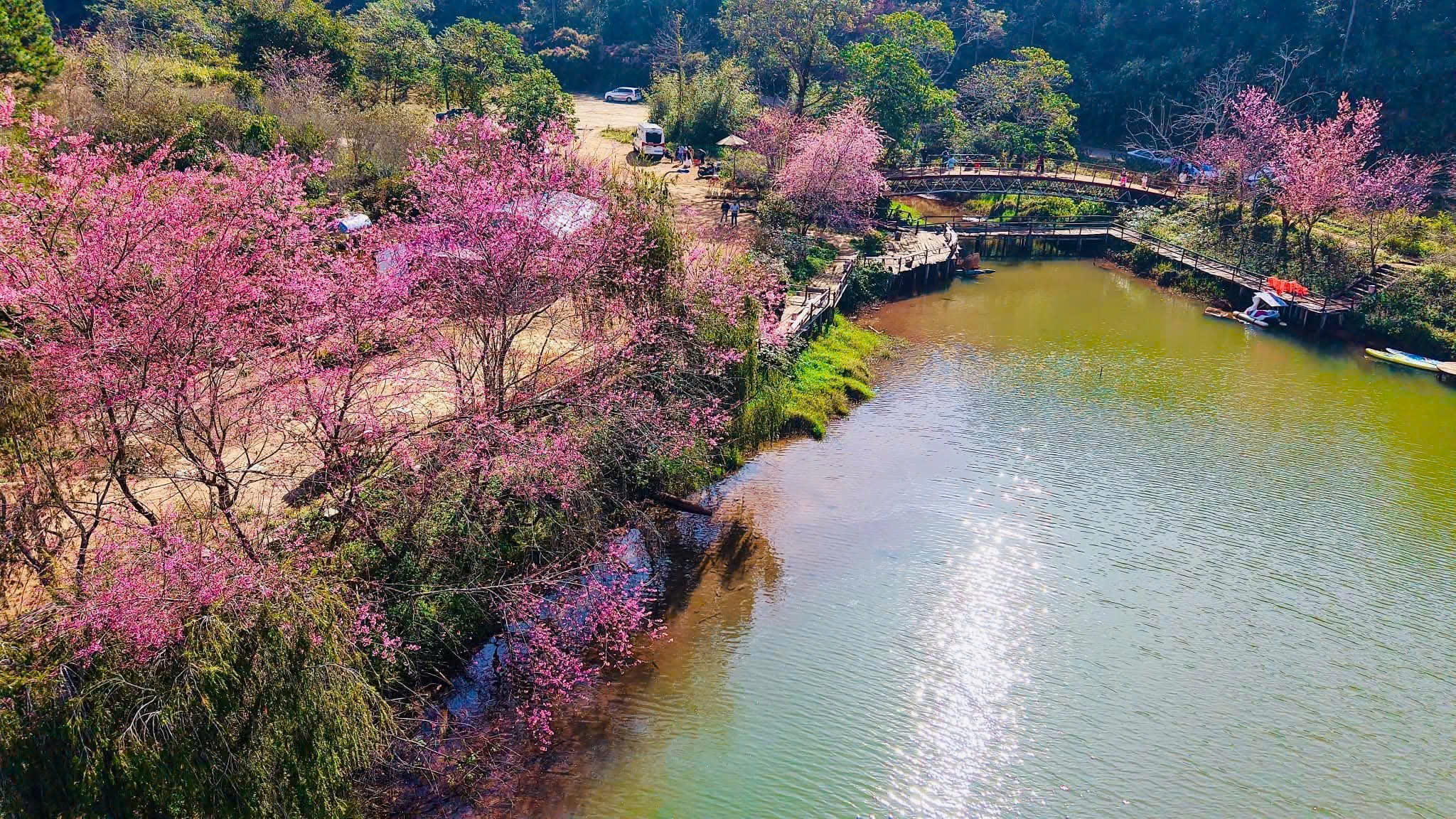 Quảng Ngãi: Nhà đầu tư góp phần "đánh thức" tiềm năng Măng Đen- Ảnh 4.