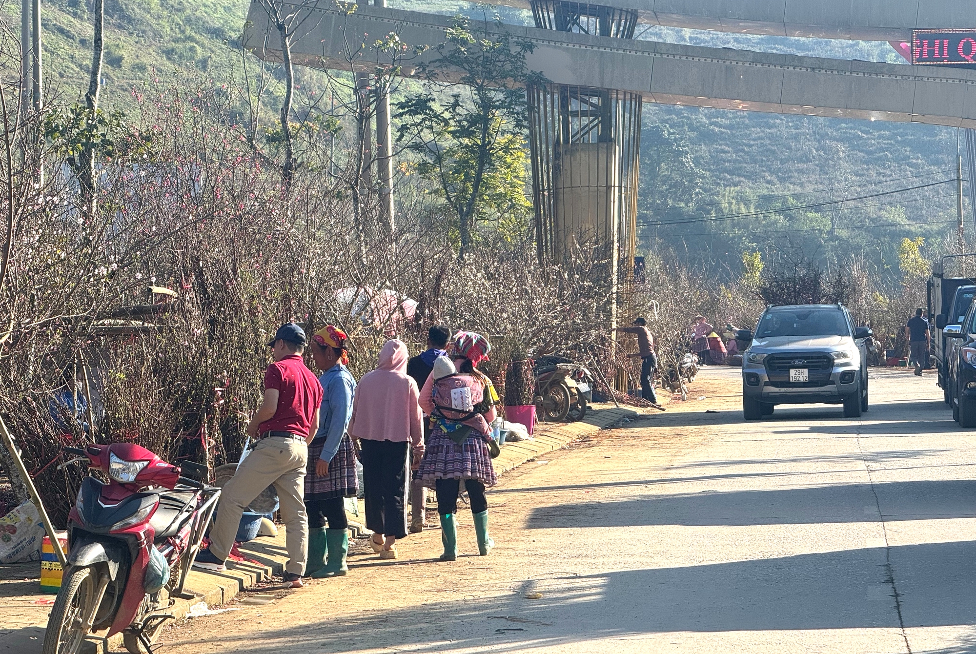 Đ&agrave;o, mận trắng v&ugrave;ng cao Sơn La tấp nập xuống phố- Ảnh 16.