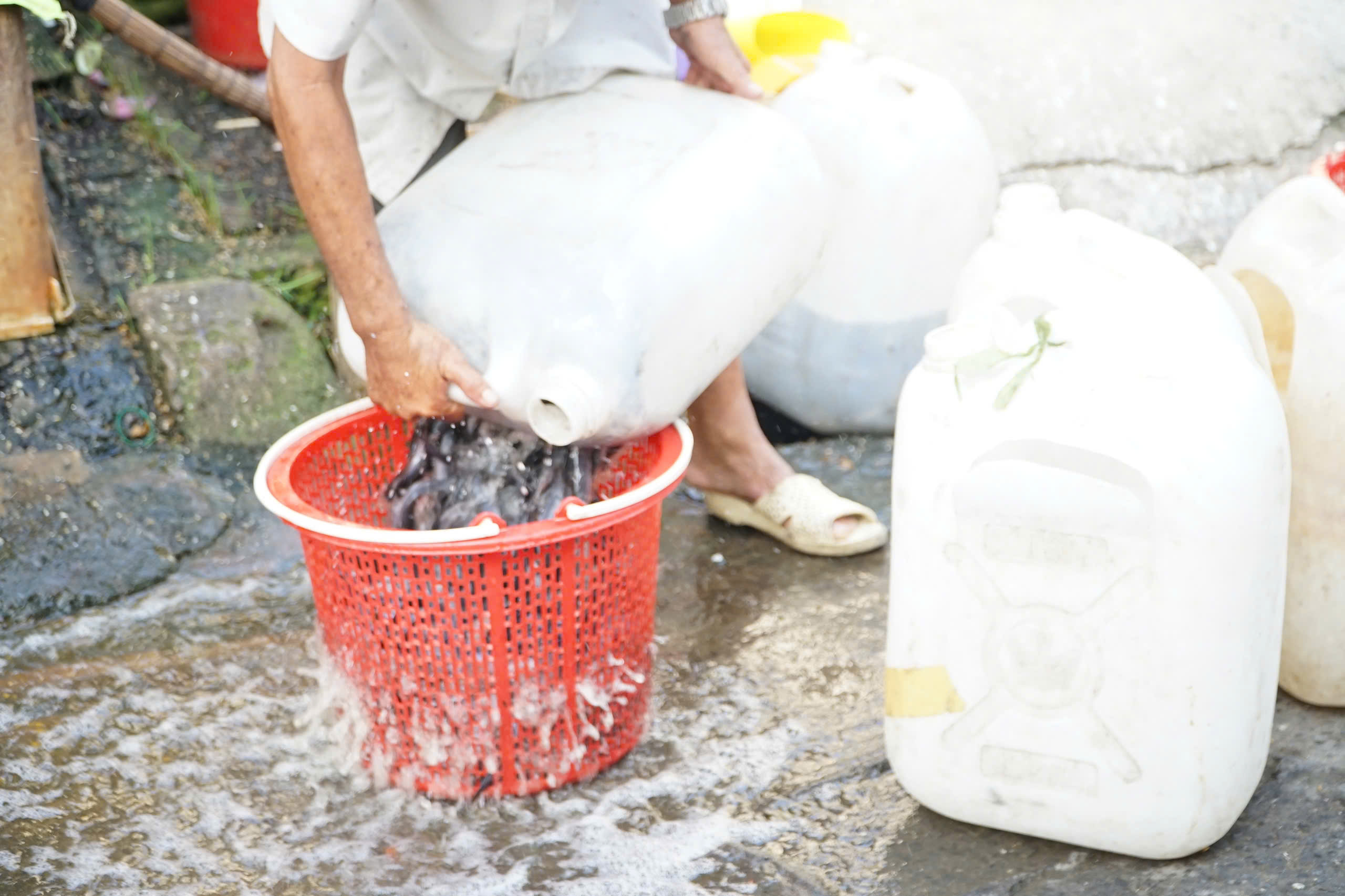 TP.HCM: Nhộn nhịp kh&ocirc;ng kh&iacute; ng&agrave;y "đưa &ocirc;ng C&ocirc;ng, &ocirc;ng T&aacute;o"- Ảnh 12.