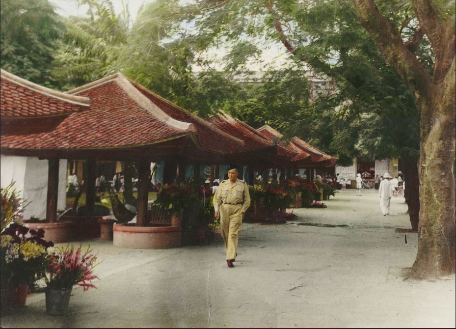 Quán hoa Hải Phòng: Rạng rỡ sắc xuân xưa giữa lòng đô thị hiện đại- Ảnh 1. Quán hoa Hải Phòng: Rạng rỡ sắc xuân xưa giữa lòng đô thị hiện đại- Ảnh 1.