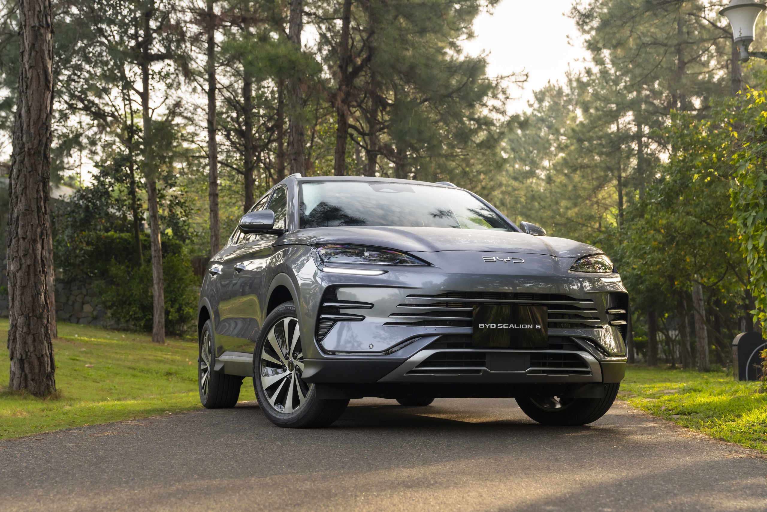 BYD đã tạo được gì tại Việt Nam sau gần 2 năm hiện diện?- Ảnh 5.