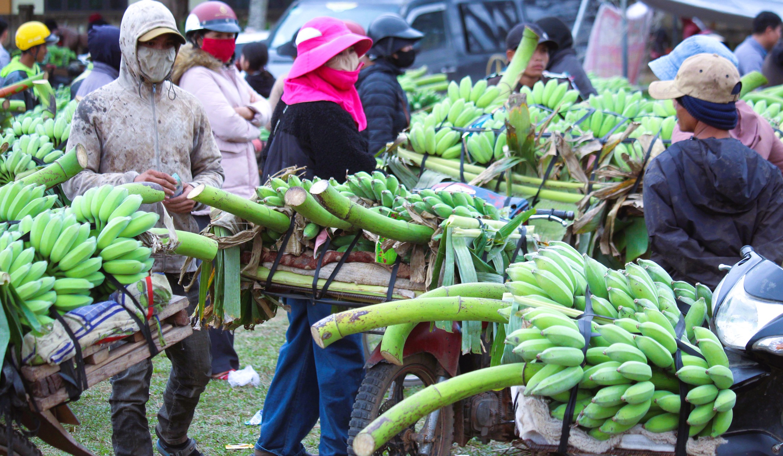 Nhộn nhịp chợ chuối lớn nhất miền Trung cận Tết, kh&ocirc;ng b&aacute;n lẻ từng buồng- Ảnh 3.