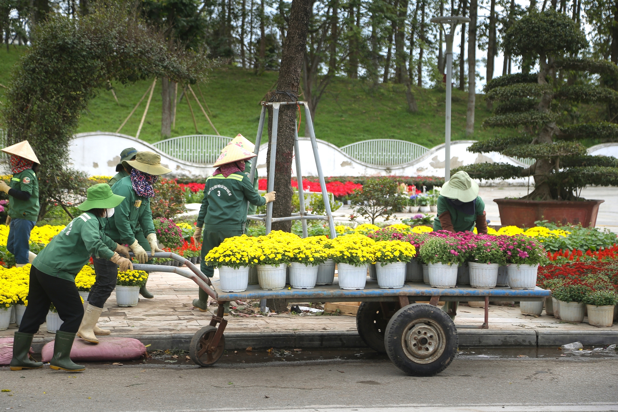 Nghệ An: Người dân đua nhau check-in với đường hoa xuân và linh vật ngựa vàng- Ảnh 11. Nghệ An: Người dân đua nhau check-in với đường hoa xuân và linh vật ngựa vàng- Ảnh 11.