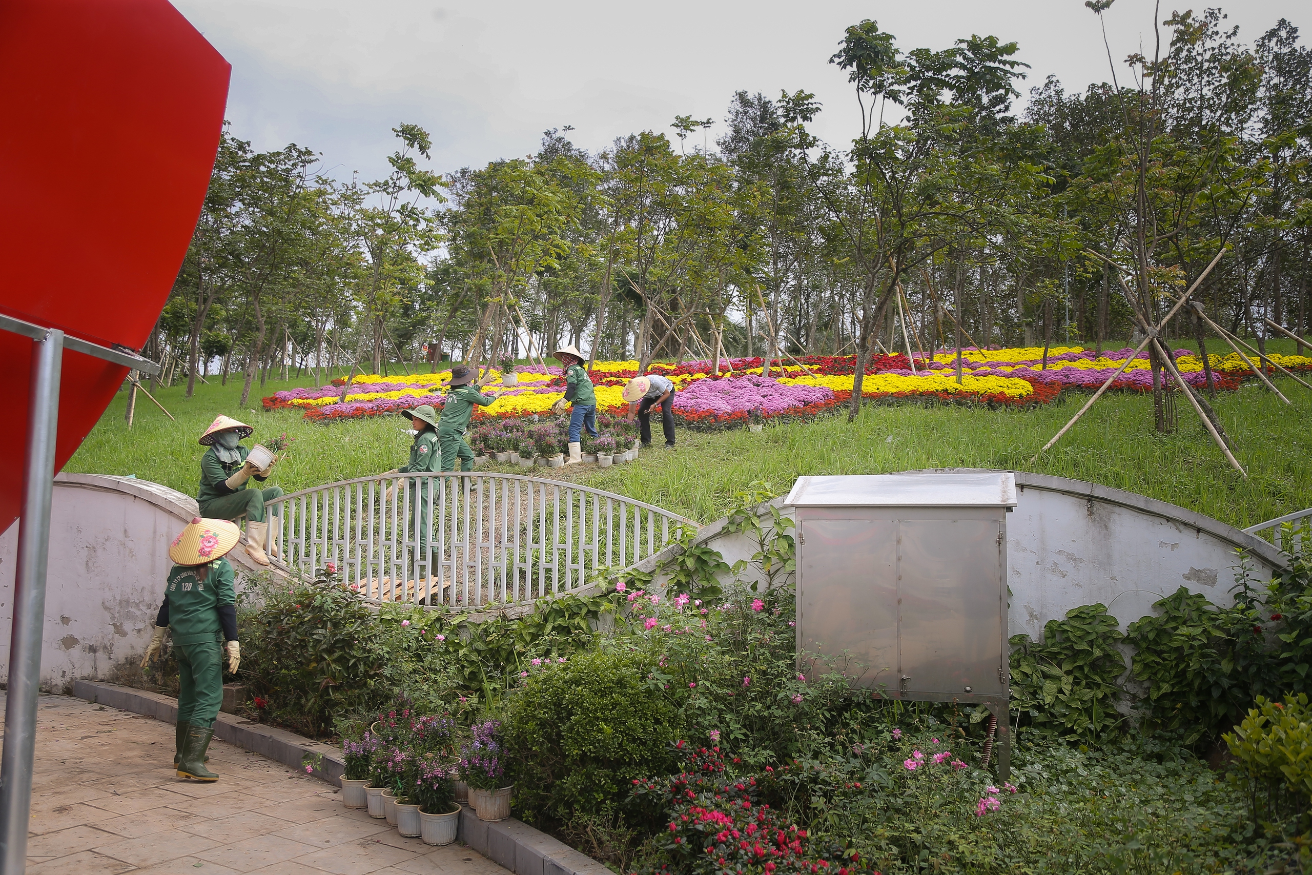 Nghệ An: Người dân đua nhau check-in với đường hoa xuân và linh vật ngựa vàng- Ảnh 2. Nghệ An: Người dân đua nhau check-in với đường hoa xuân và linh vật ngựa vàng- Ảnh 2.