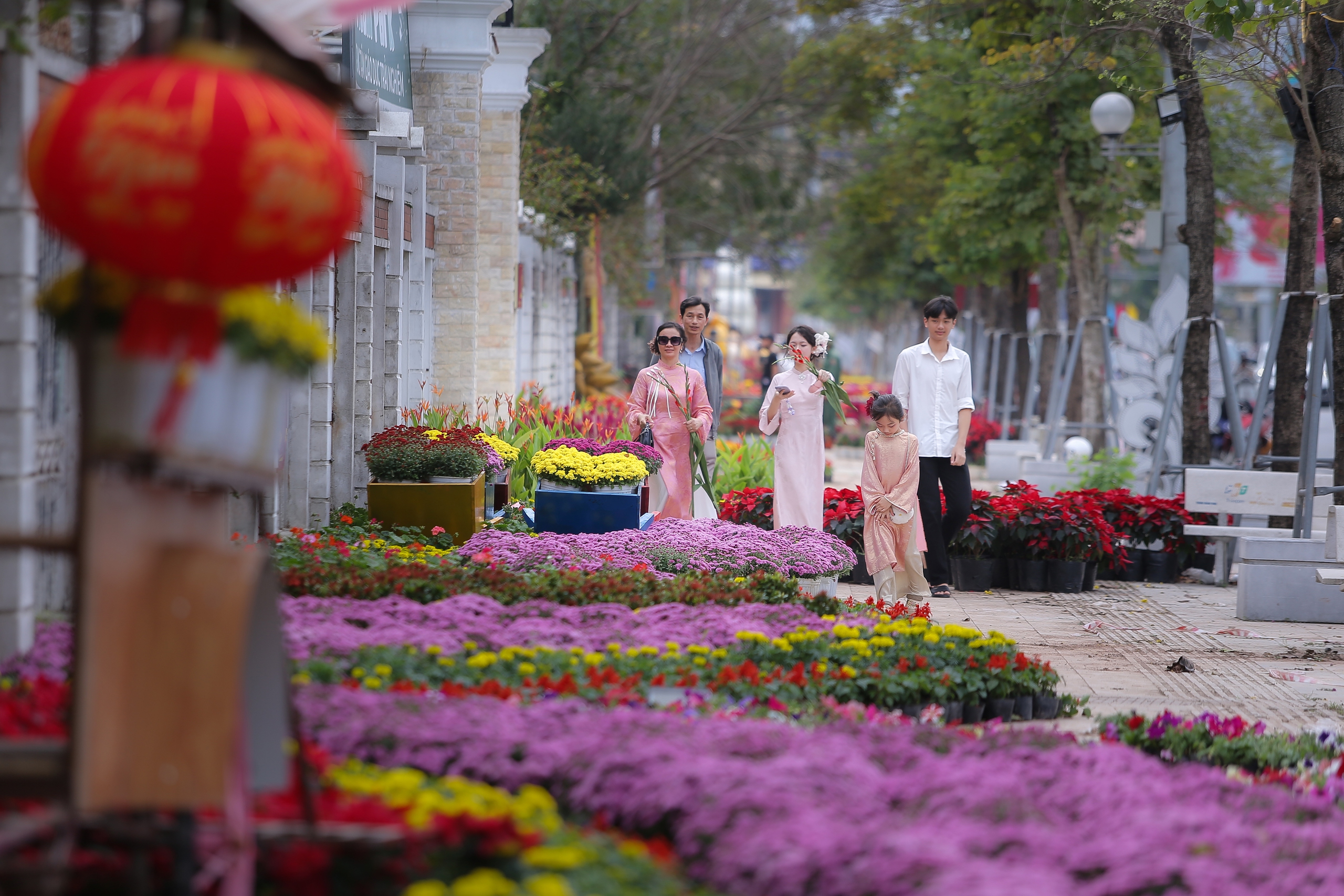 Nghệ An: Người dân đua nhau check-in với đường hoa xuân và linh vật ngựa vàng- Ảnh 6. Nghệ An: Người dân đua nhau check-in với đường hoa xuân và linh vật ngựa vàng- Ảnh 6.