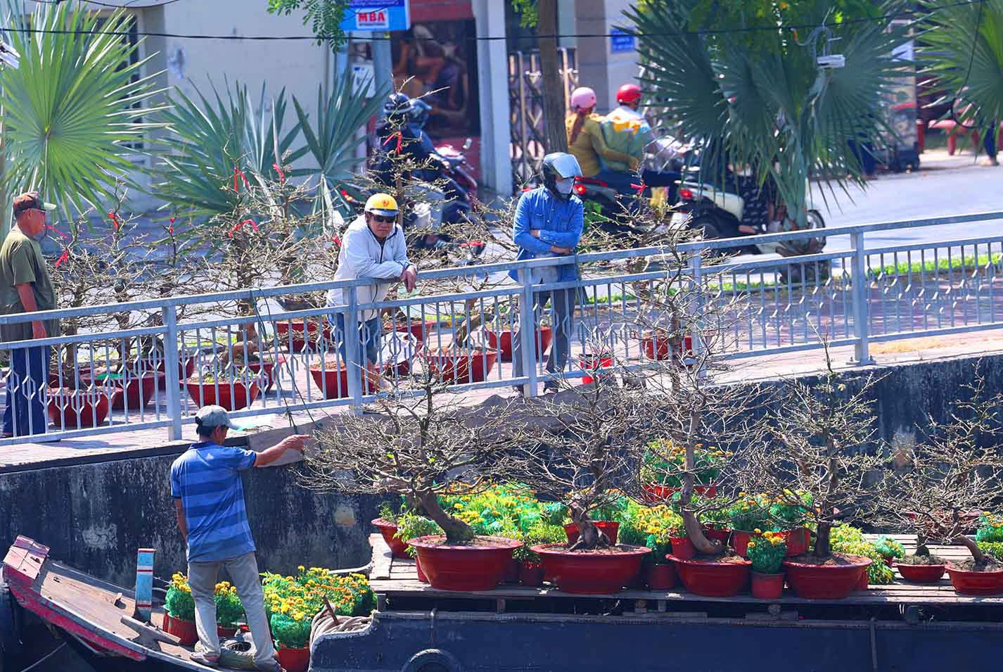 TP.HCM rộn ràng điểm du xuân, thu hút người dân dịp tết Bính Ngọ 2026- Ảnh 14. TP.HCM rộn ràng điểm du xuân, thu hút người dân dịp tết Bính Ngọ 2026- Ảnh 14.