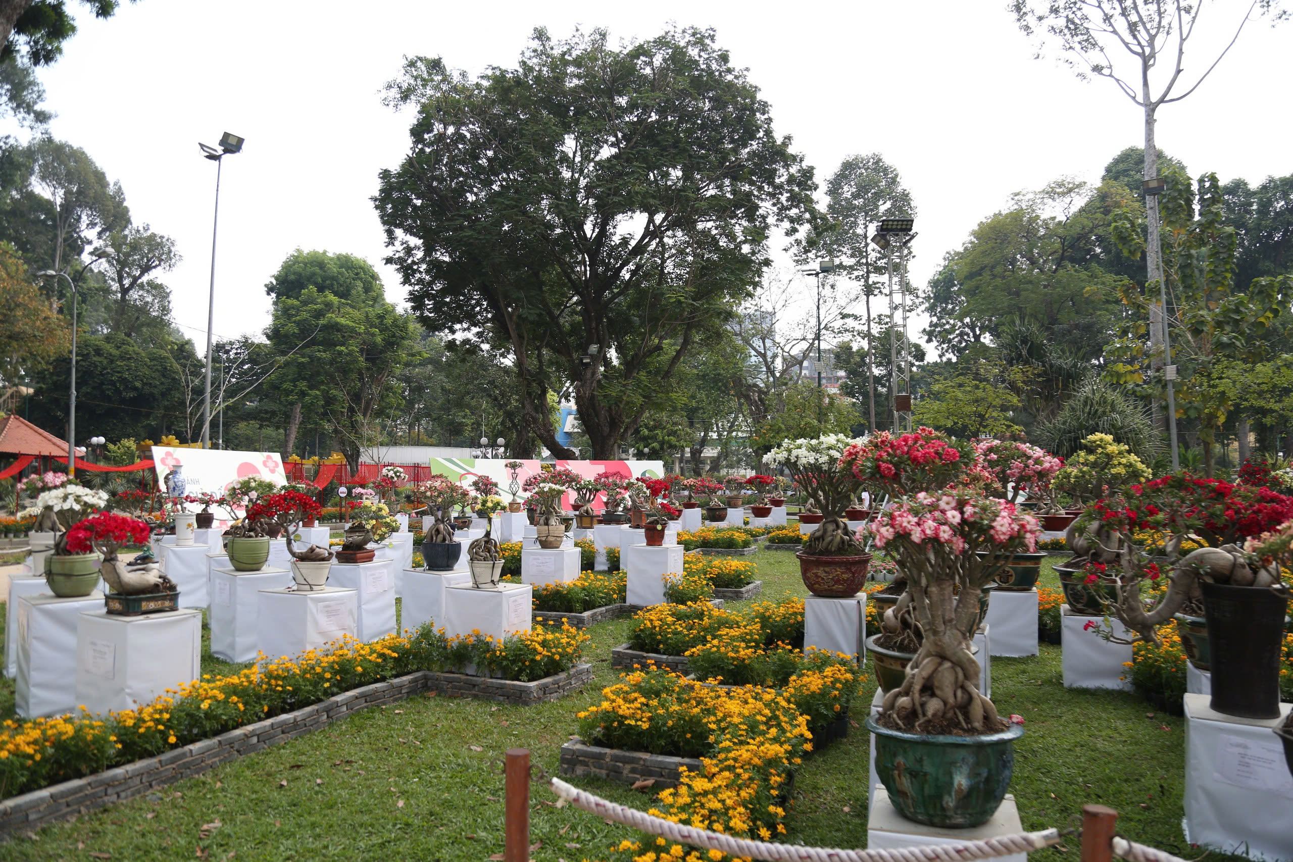 TP.HCM rộn ràng điểm du xuân, thu hút người dân dịp tết Bính Ngọ 2026- Ảnh 9. TP.HCM rộn ràng điểm du xuân, thu hút người dân dịp tết Bính Ngọ 2026- Ảnh 9.