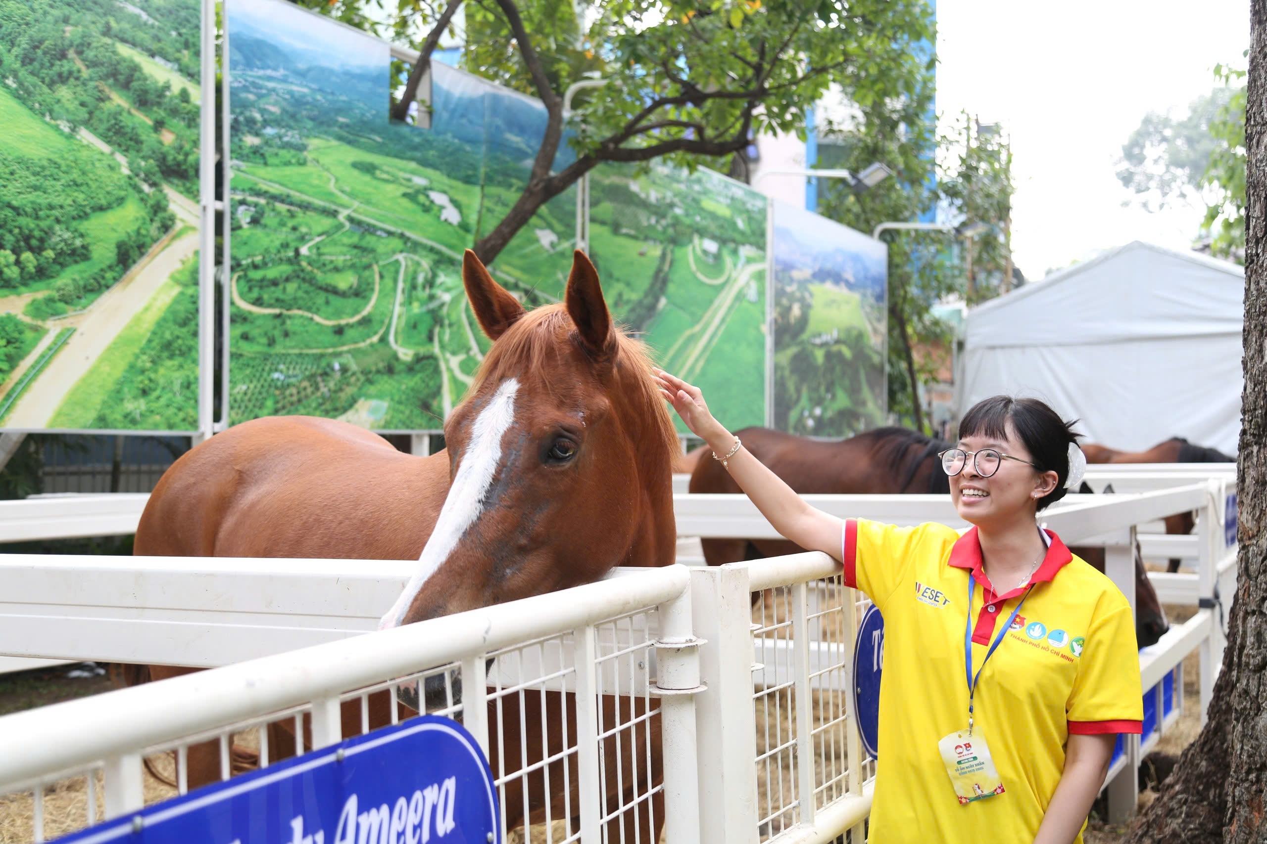 TP.HCM rộn ràng điểm du xuân, thu hút người dân dịp tết Bính Ngọ 2026- Ảnh 20. TP.HCM rộn ràng điểm du xuân, thu hút người dân dịp tết Bính Ngọ 2026- Ảnh 20.