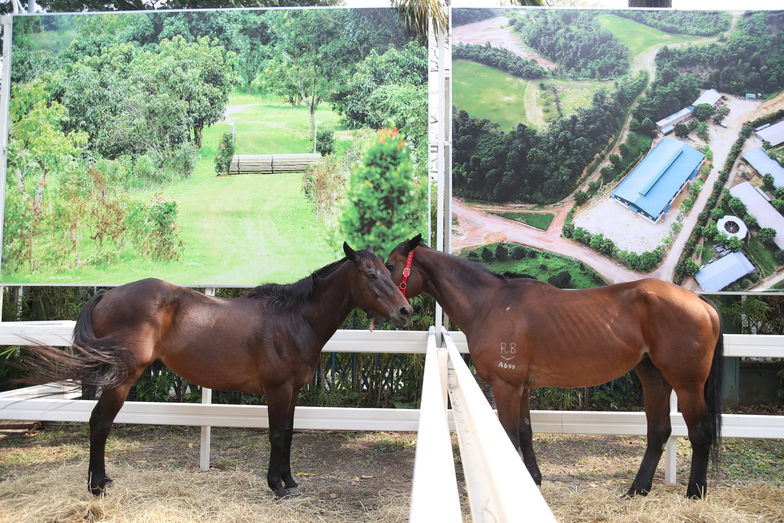 TP.HCM rộn ràng điểm du xuân, thu hút người dân dịp tết Bính Ngọ 2026- Ảnh 10. TP.HCM rộn ràng điểm du xuân, thu hút người dân dịp tết Bính Ngọ 2026- Ảnh 10.