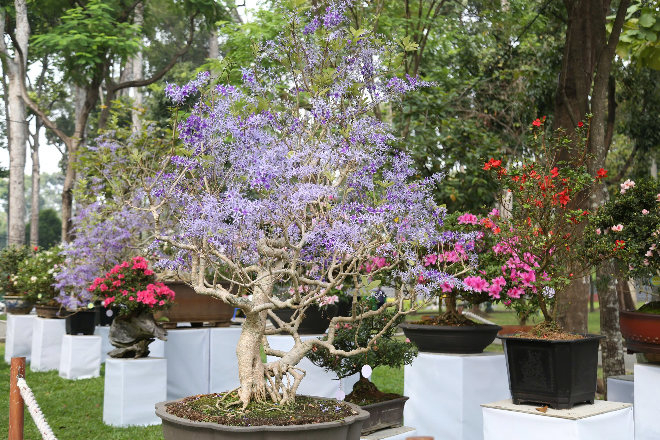 TP.HCM rộn ràng điểm du xuân, thu hút người dân dịp tết Bính Ngọ 2026- Ảnh 8. TP.HCM rộn ràng điểm du xuân, thu hút người dân dịp tết Bính Ngọ 2026- Ảnh 8.