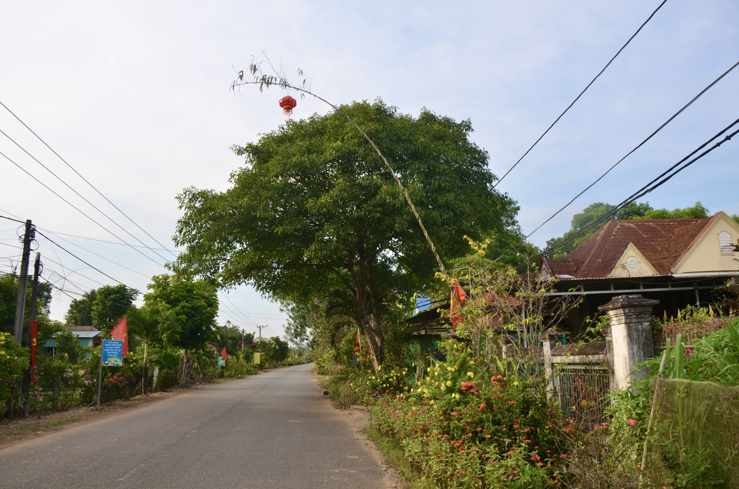Giữ hồn qu&ecirc; với con đường n&ecirc;u rực rỡ đ&oacute;n Tết giữa v&ugrave;ng đất c&ocirc;ng nghiệp Đồng Nai- Ảnh 8.