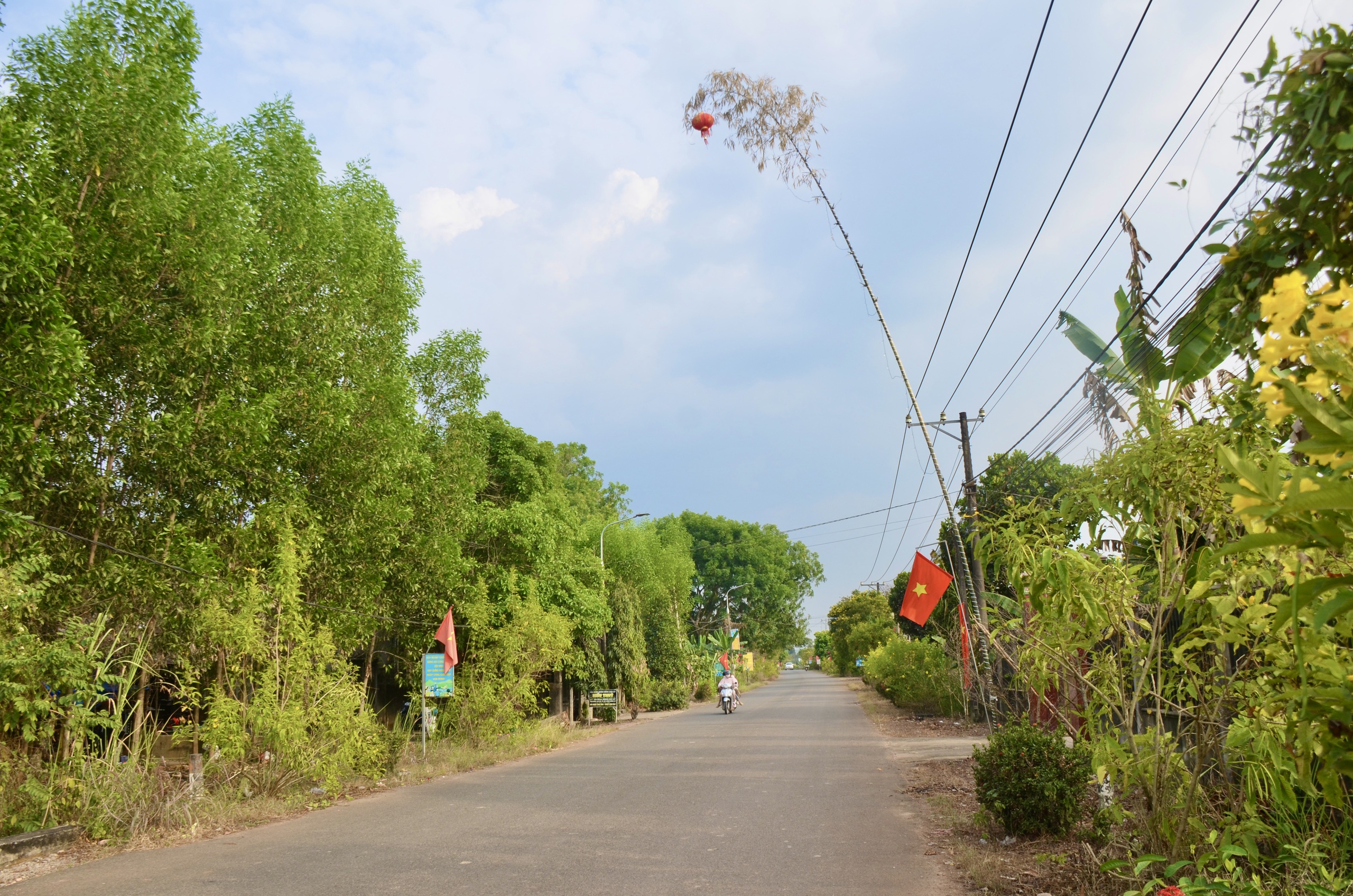 Giữ hồn qu&ecirc; với con đường n&ecirc;u rực rỡ đ&oacute;n Tết giữa v&ugrave;ng đất c&ocirc;ng nghiệp Đồng Nai- Ảnh 4.